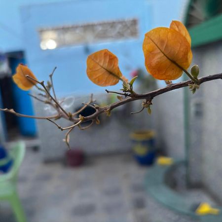 Villa Casa Morisca Sidi Ifni Esterno foto