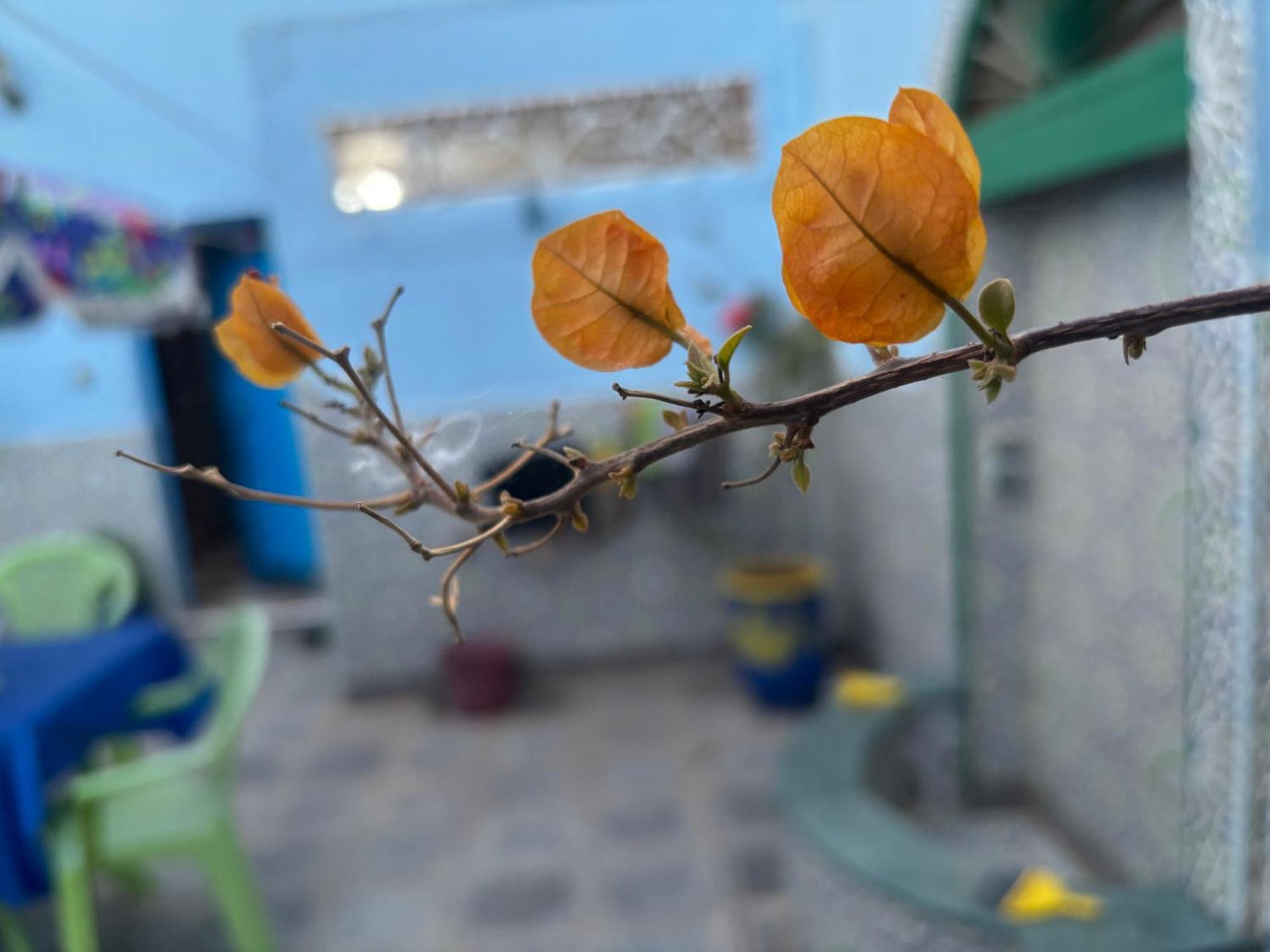 Villa Casa Morisca Sidi Ifni Esterno foto